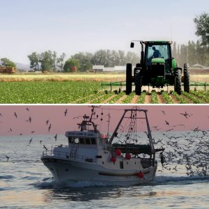 sostegno-agricoltura-pesca-1